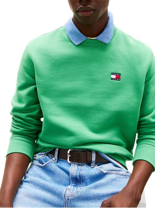 Felpa verde in spugna di cotone Tommy Jeans | DM0DM20660LY3